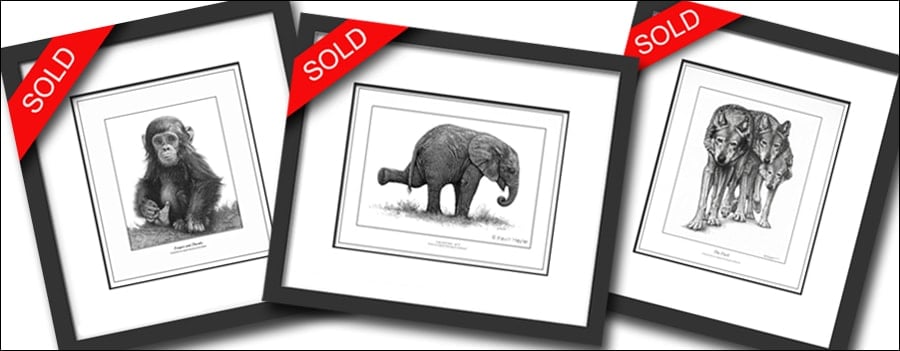 12 Wildlife subjects that sell three bestselling prints