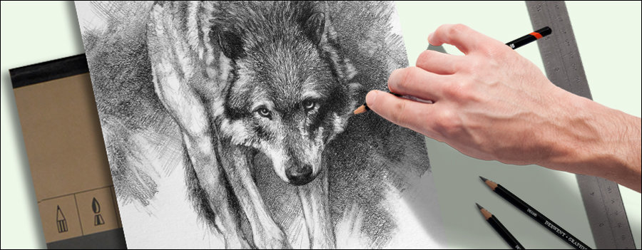 drawing wildlife. A wolf drawing with art supplies.