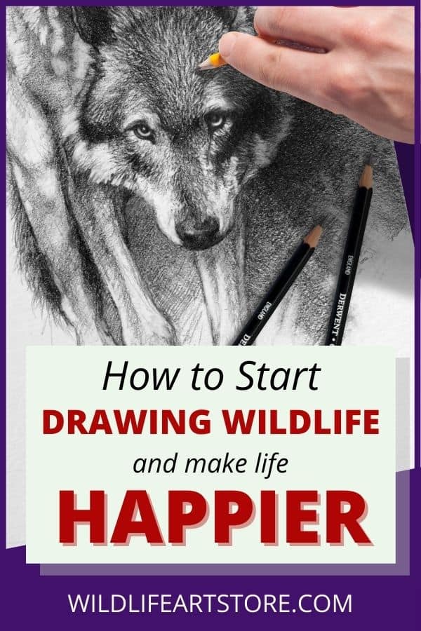 How to start drawing wildlife and become a wildlife artist
