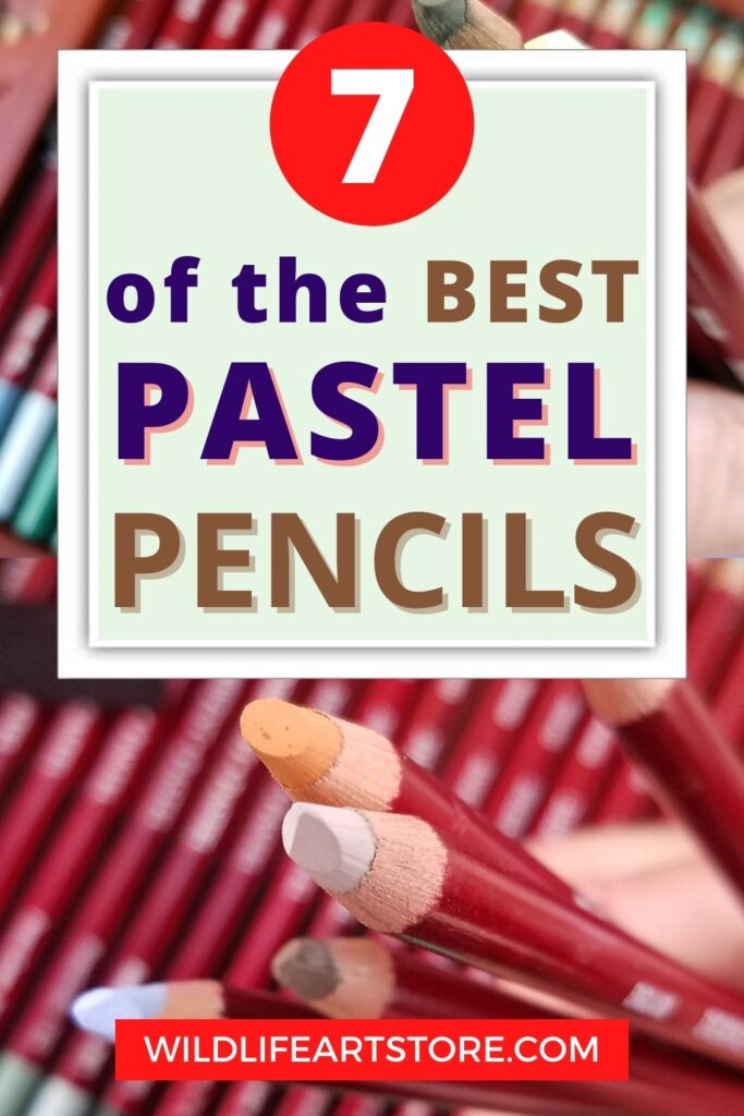 Best Pastel Pencils For Beginners: 7 Top Brands Review (2023)