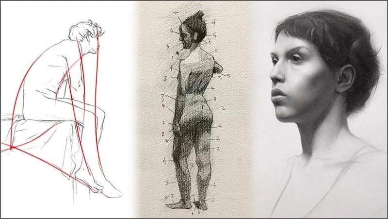 The Basic Skills of Drawing: Learn to Draw For Beginners