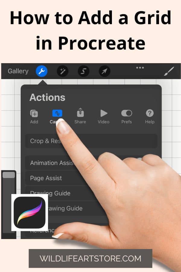 How to add a grid in Procreate. A Pinterest pin